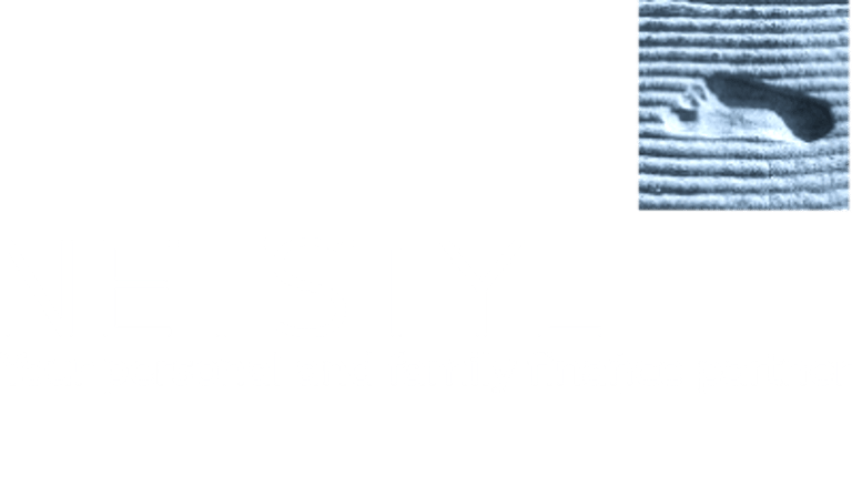 NetStyl Investors logo