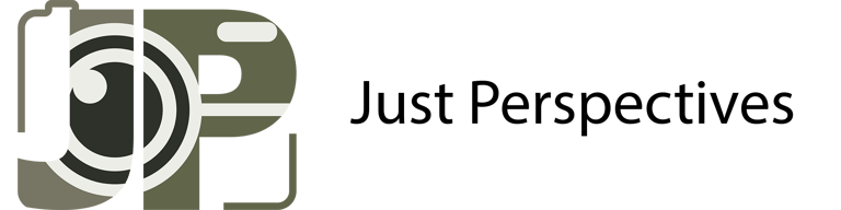 Just Perspectives | Joel Pingel logo