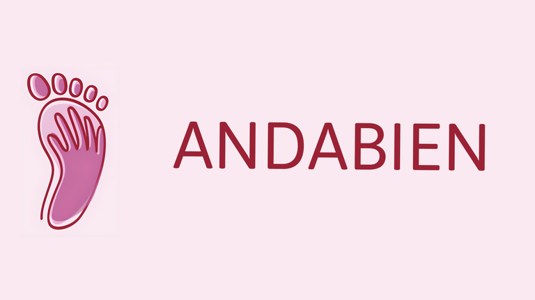 Andabien logo