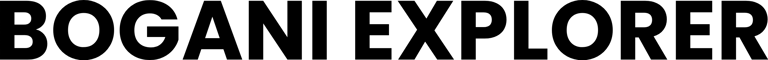 BOGANI EXPLORER logo