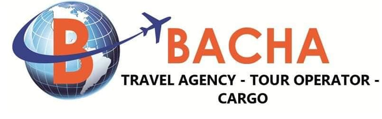 Bacha Travel logo