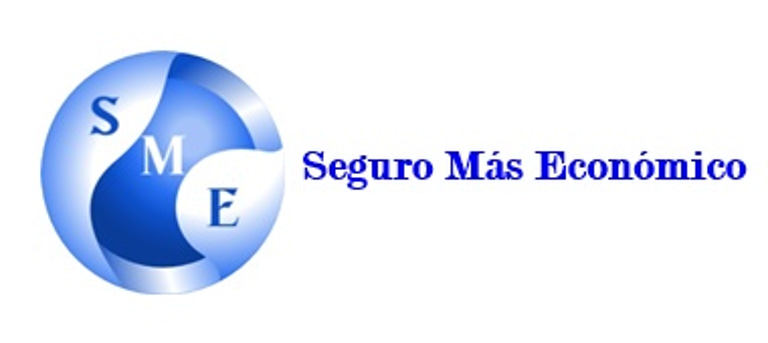 Seguro Más Económico logo