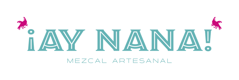 ¡AY NANA! logo