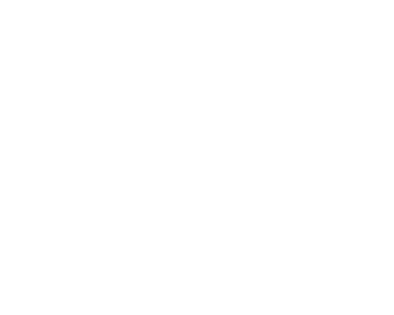 Martins Despachante e Vistoria logo