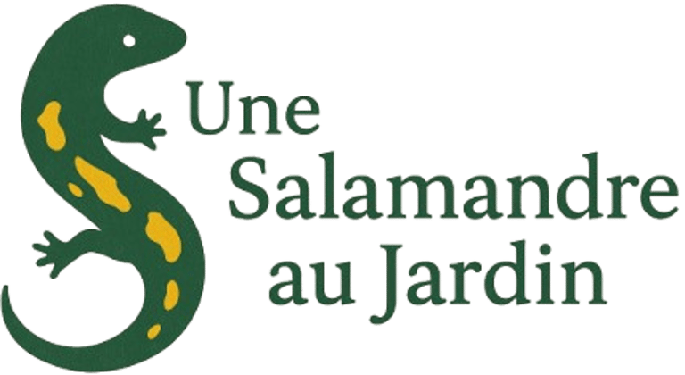 Une salamandre au jardin logo