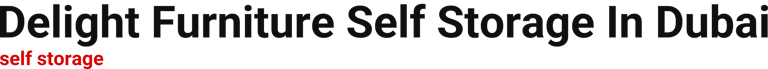 delightfurnitureselfstorageindubai.homes logo