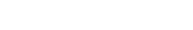 disidnt= logo