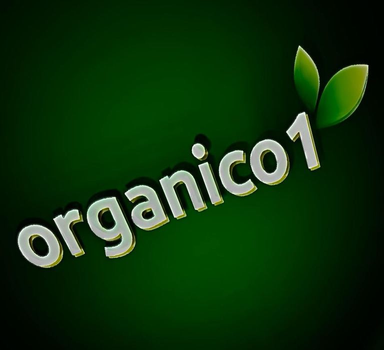 organico1 logo