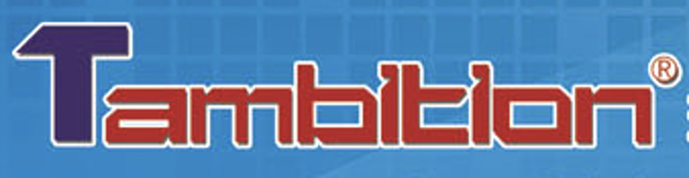 Timeless Ambition logo