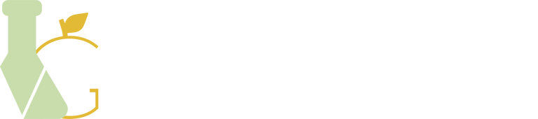 Verdezoto Galindo Consultores logo