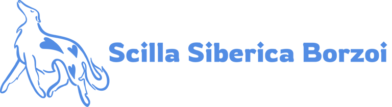 Scilla Siberica Borzoi logo