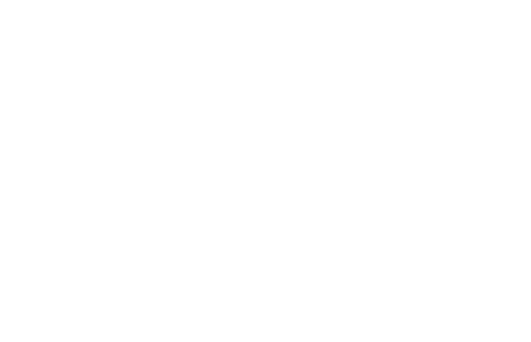 Bird Media logo