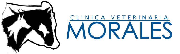 Clinica Veterinaria Morales logo