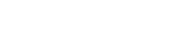 Dolphin Costruzioni logo