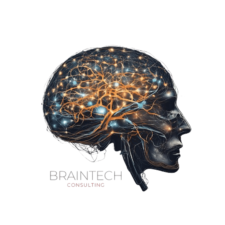 Braintech Consulting logo