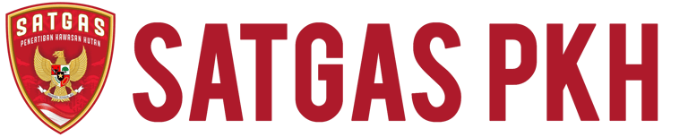 SATGAS PKH logo