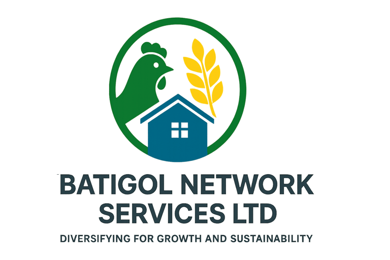 Batigol Network Services Ltd logo