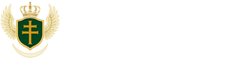 CONDAIME logo