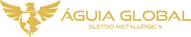 Águia Global  logo