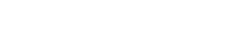 Dronicle logo