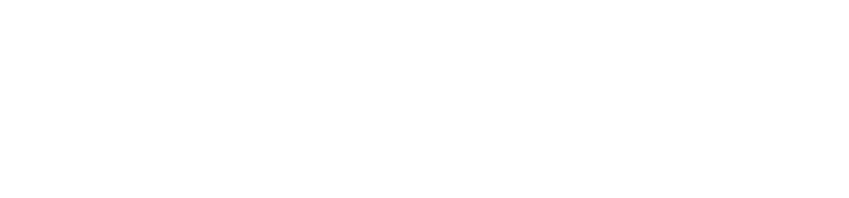 Dronicle logo
