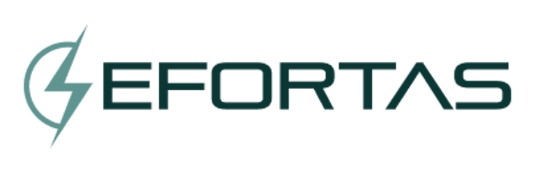 Efortas logo