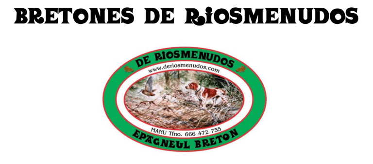 De Riosmenudos logo