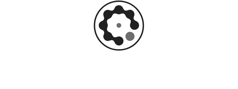 BM Solution logo