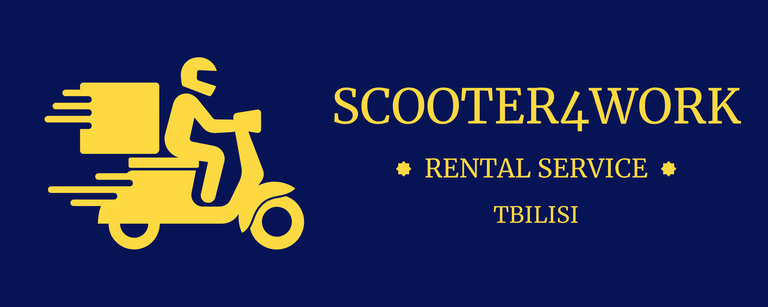 Stepi.Delivery logo