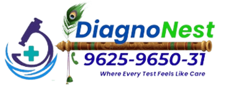 DiagnoNest logo