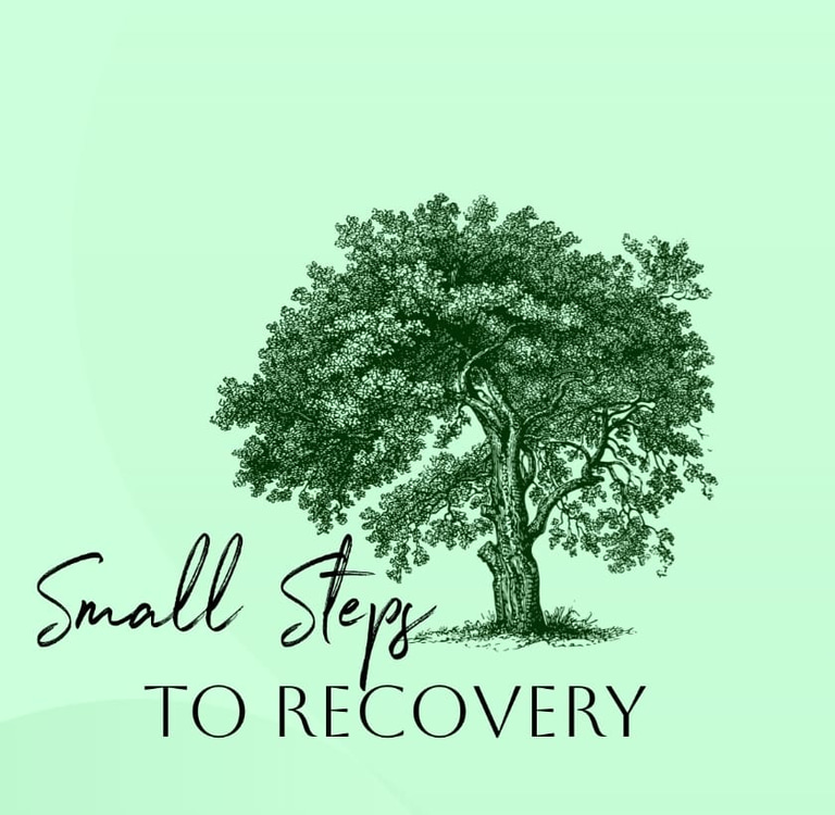 Small Steps to Recovery logo