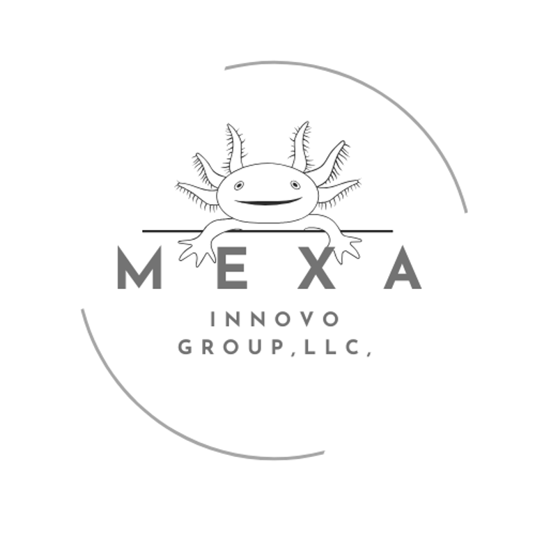 Mexa Innovo Group LLC logo