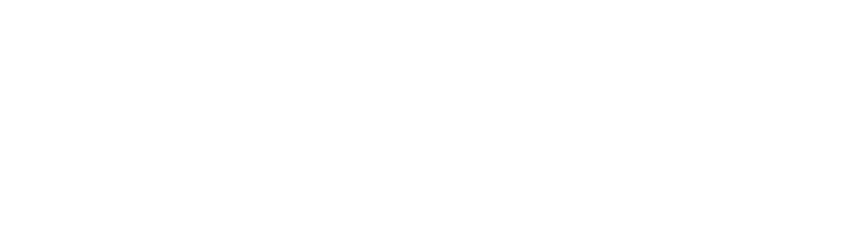 Provect.AI logo