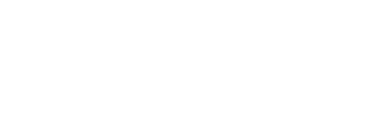 nunezweb logo
