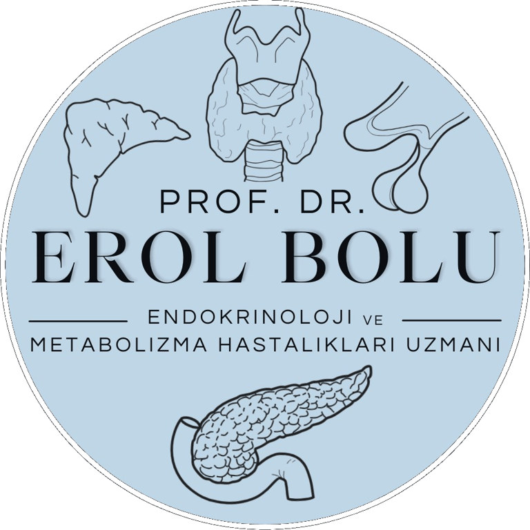 Prof. Dr. Ş. Erol Bolu logo