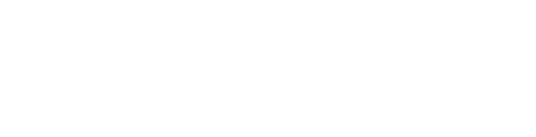 Tndsystem logo