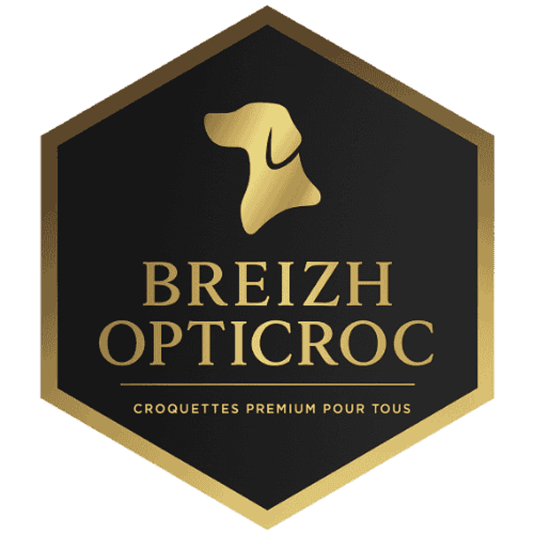 BREIZH OPTICROC logo