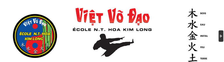 Viet Vo DAo logo