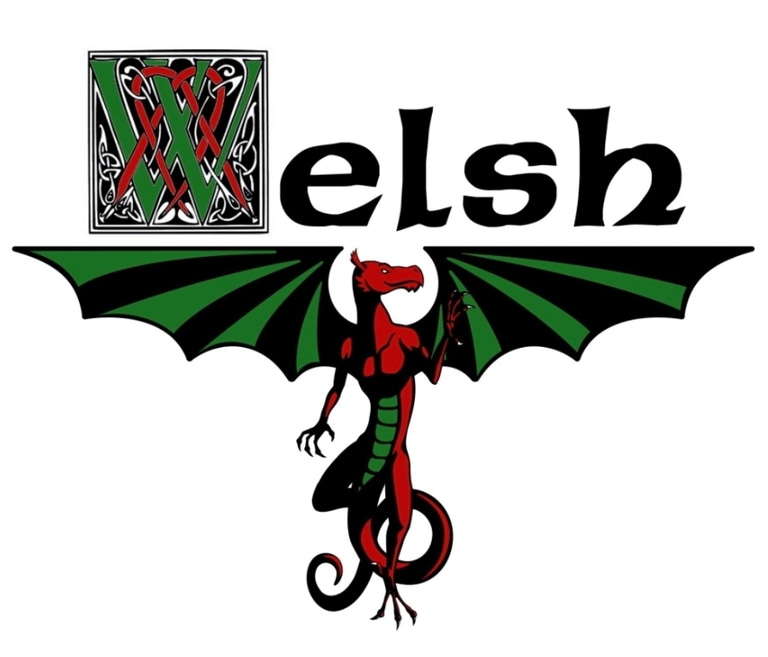 The Welsh Chauffeur logo