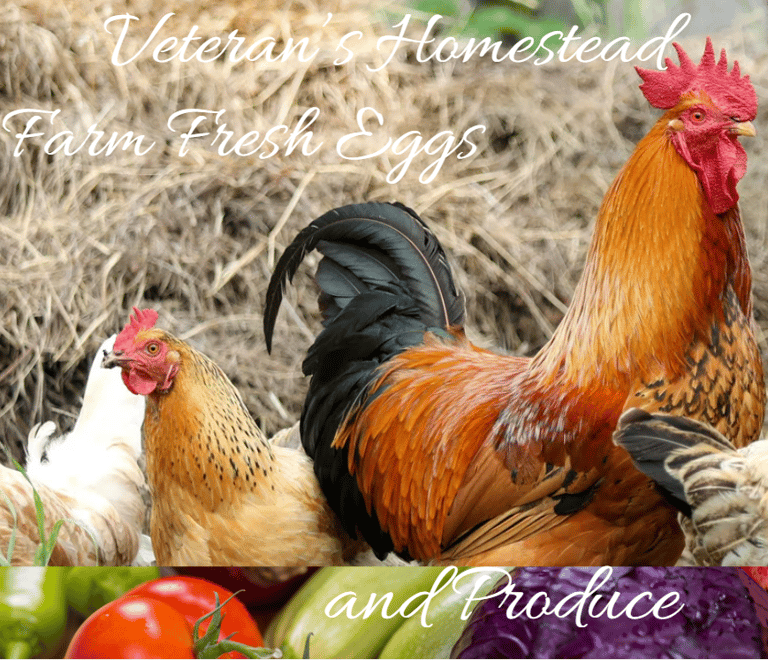 Veterans Homestead logo