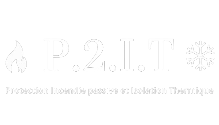 P2IT logo