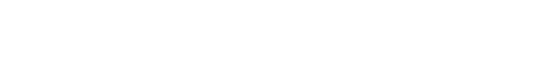 PRO WEST TRADING LLC - software development logo
