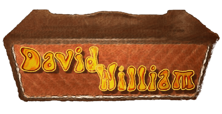 David William Music logo