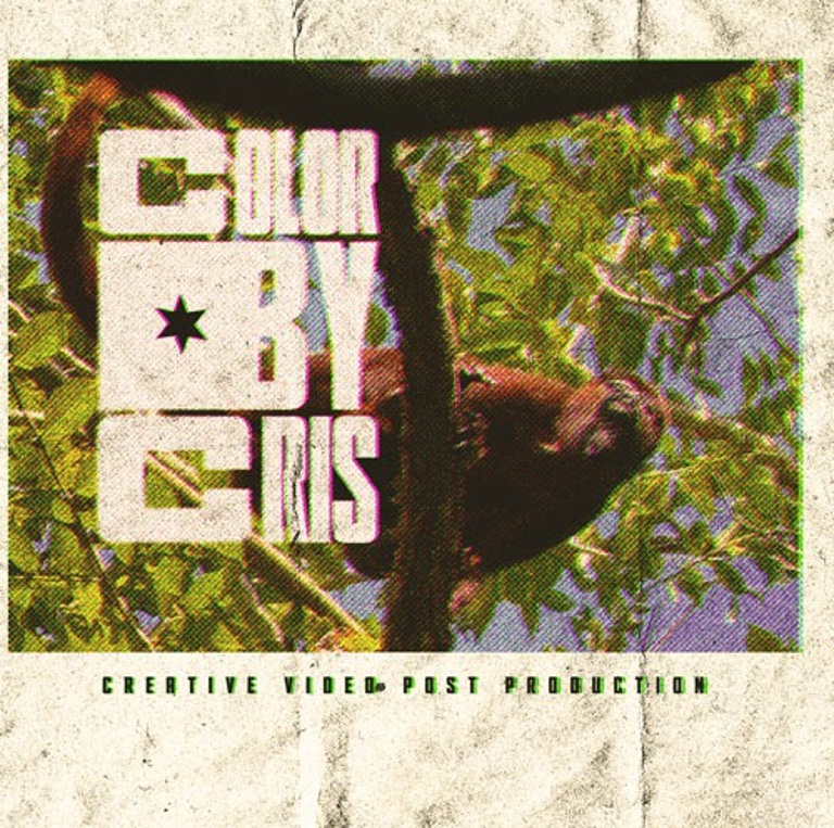 Color By Cris logo