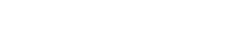 Stoneplaynes logo