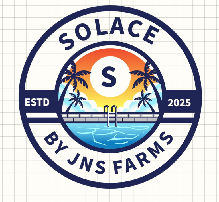 Solace logo