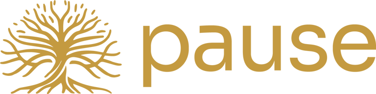 Pause logo