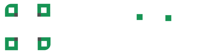 FlyVision logo