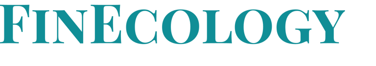 FinAnalyst logo