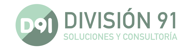 División 91 logo